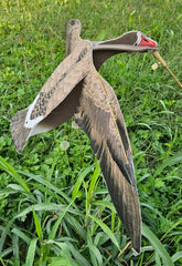 Atrapa gasca garlita Sillosocks Flapper