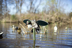 Atrapa electrica rata mica Mojo Green Wing Teal - Articole de Vanatoare