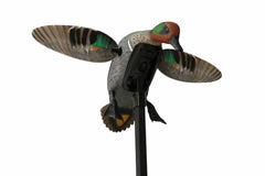 Atrapa electrica rata mica Mojo Green Wing Teal - Articole de Vanatoare