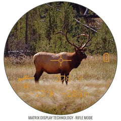 Binoclu Telemetru Fusion Mile Arc 10x42 Bushnell - Articole de Vanatoare