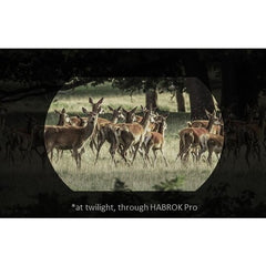 BINOCLU VEDERE TERMICA HABROK PRO HQ50LN 1920X1080 - Articole de Vanatoare