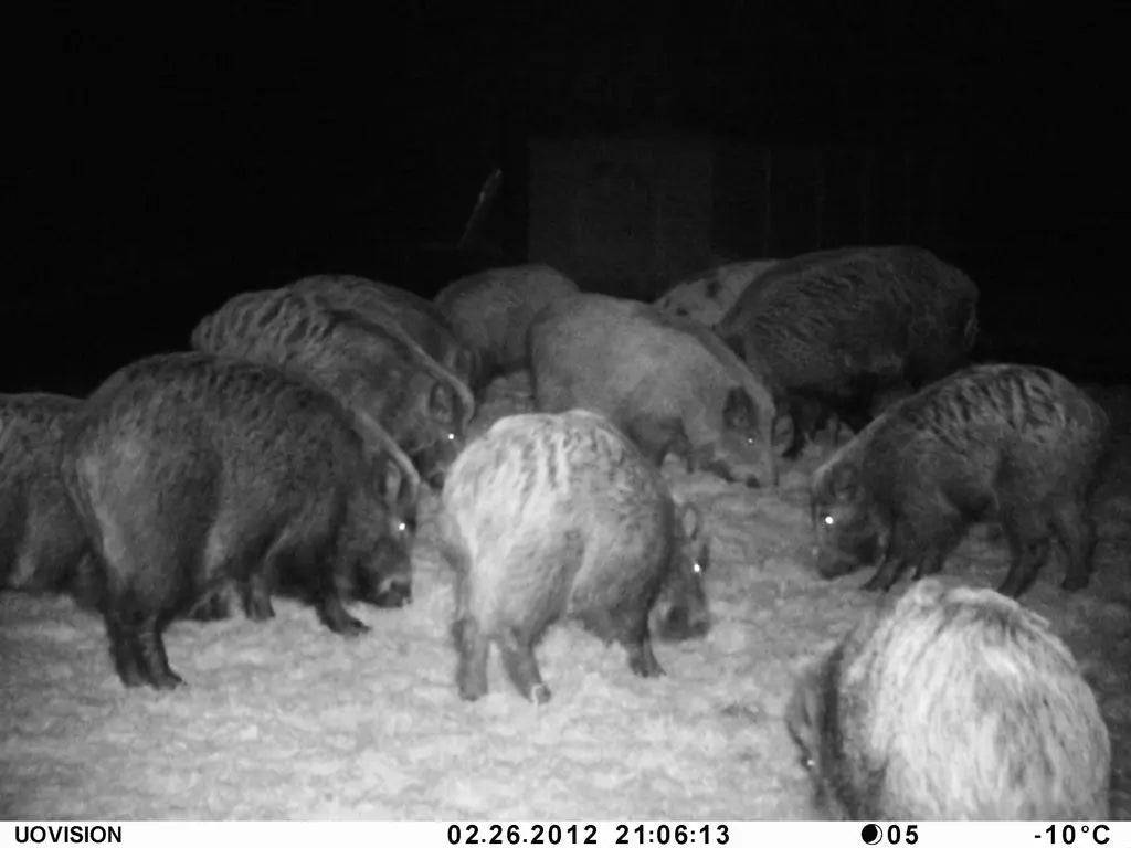 Camera Falsa monitorizare UOVision UM785 3G - Articole de Vanatoare