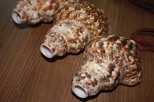 Chematoare cerb tip scoica Triton - Articole de Vanatoare