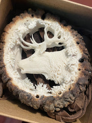 Cravata vanatoareasca cerb - Articole de Vanatoare