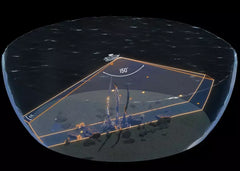 Acoperire sonar 150 grade subacvatica Garmin Panoptix LiveScope articolevanatoare