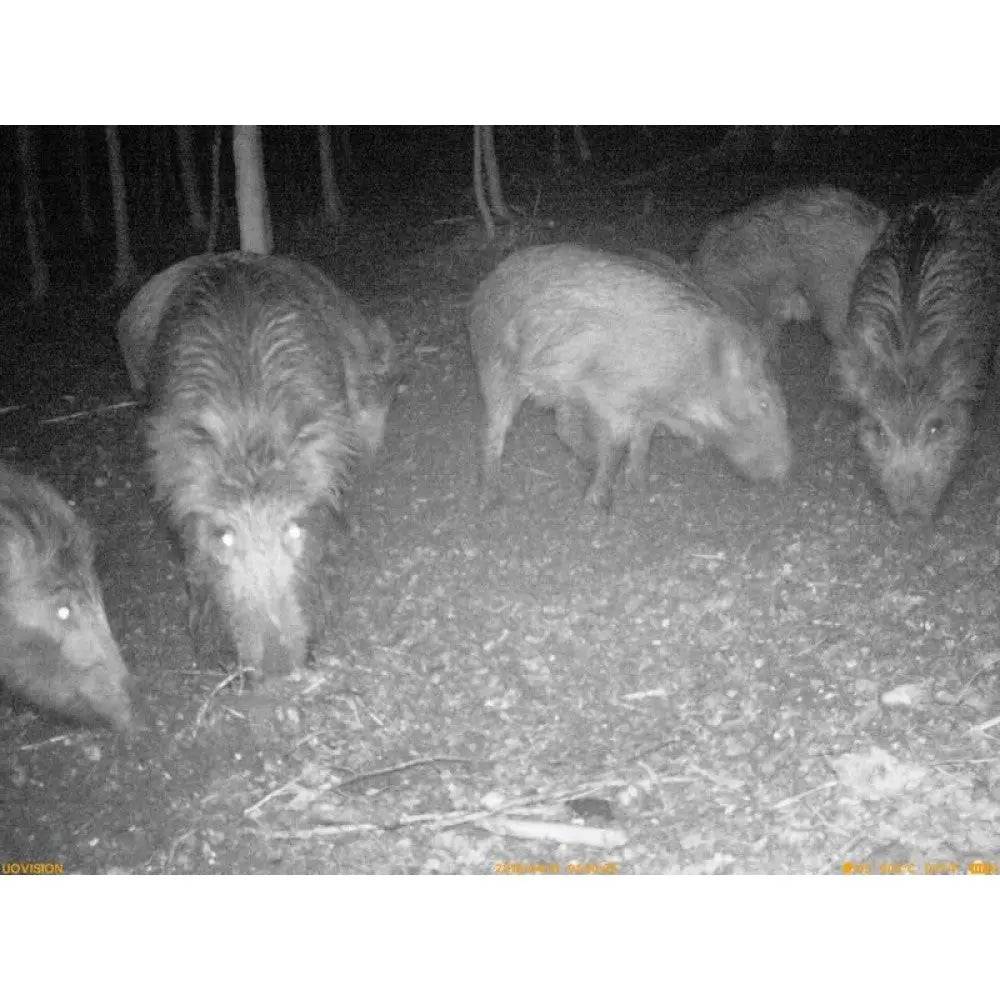 Resigilata Camera monitorizare UOVision UM535 2G - Articole de Vanatoare