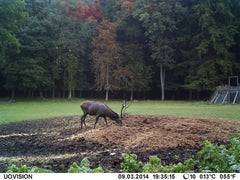 Resigilata Camera monitorizare UOVision UM785 3G - Articole de Vanatoare