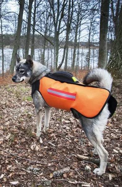 Vesta caine vanatoare Dogtech Euro - Articole de Vanatoare