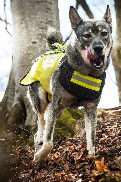Vesta Protectie Dogtech Pro - Articole de Vanatoare