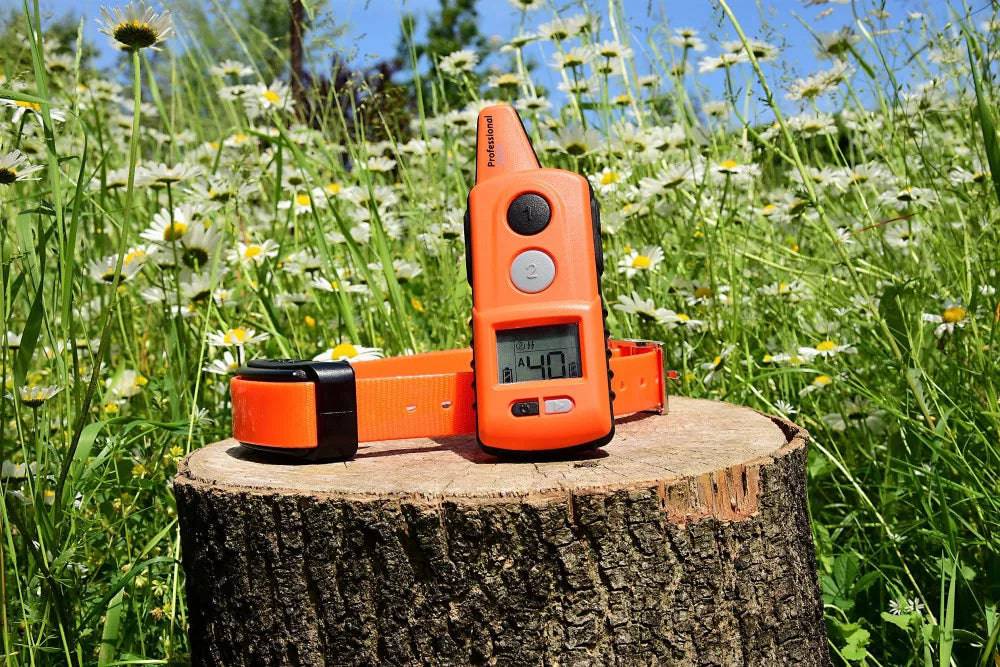 Zgarda dresaj Dog Trace control 1000 Profesional - Articole de Vanatoare