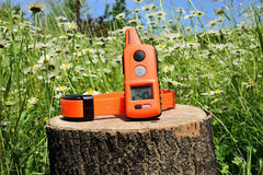 Zgarda dresaj Dog Trace control 1000 Profesional - Articole de Vanatoare