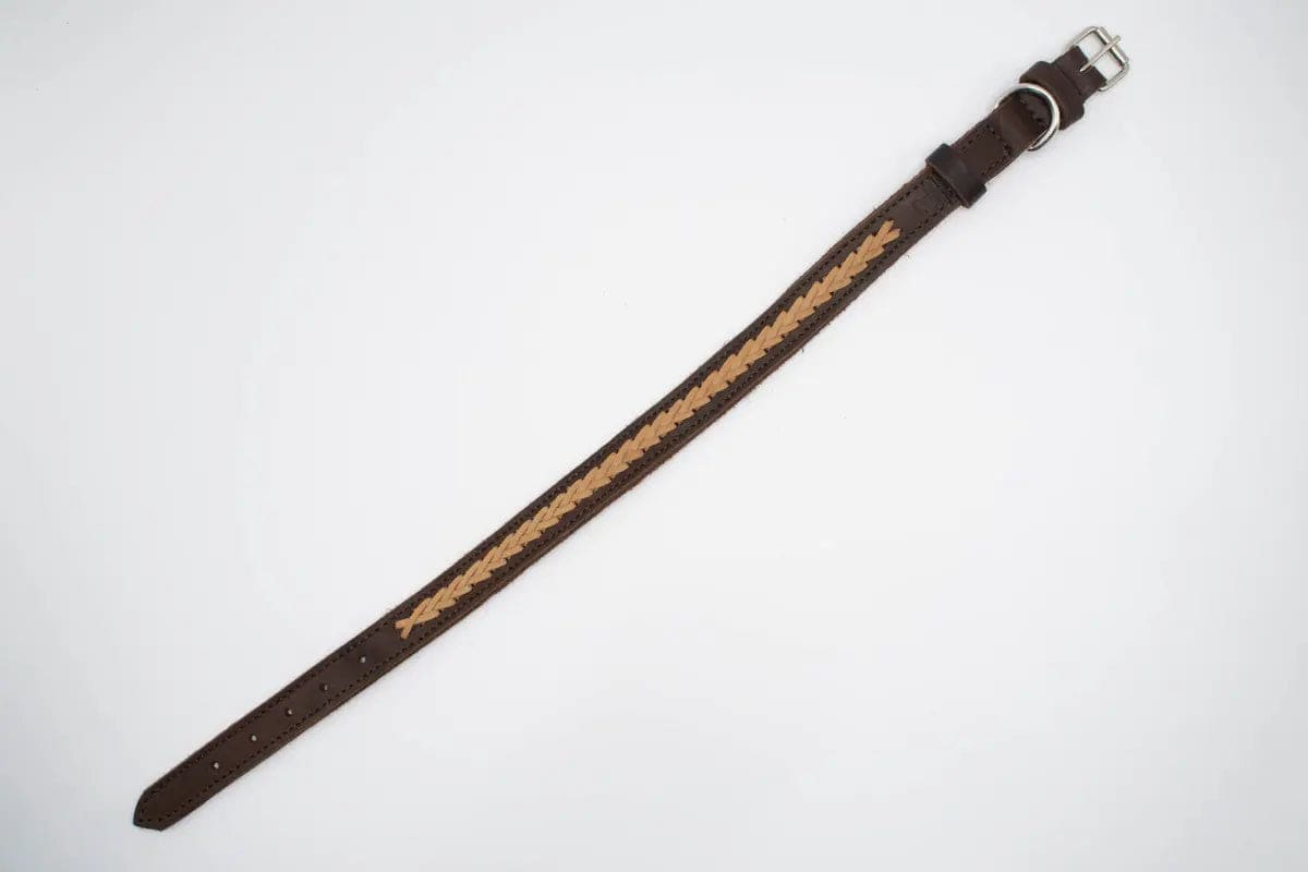 Zgarda caine impletitura - Articole de Vanatoare