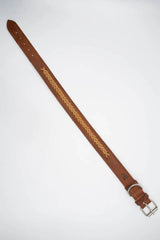 Zgarda caine impletitura - Articole de Vanatoare