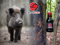 Pachet Atractant Mistret Black Fire