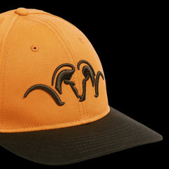 SAPCA STRIKER BLAZE/DARK BROWN