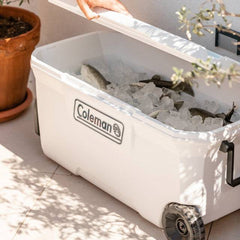 Lada frigorifica Coleman Marine Xtreme 2023 94L