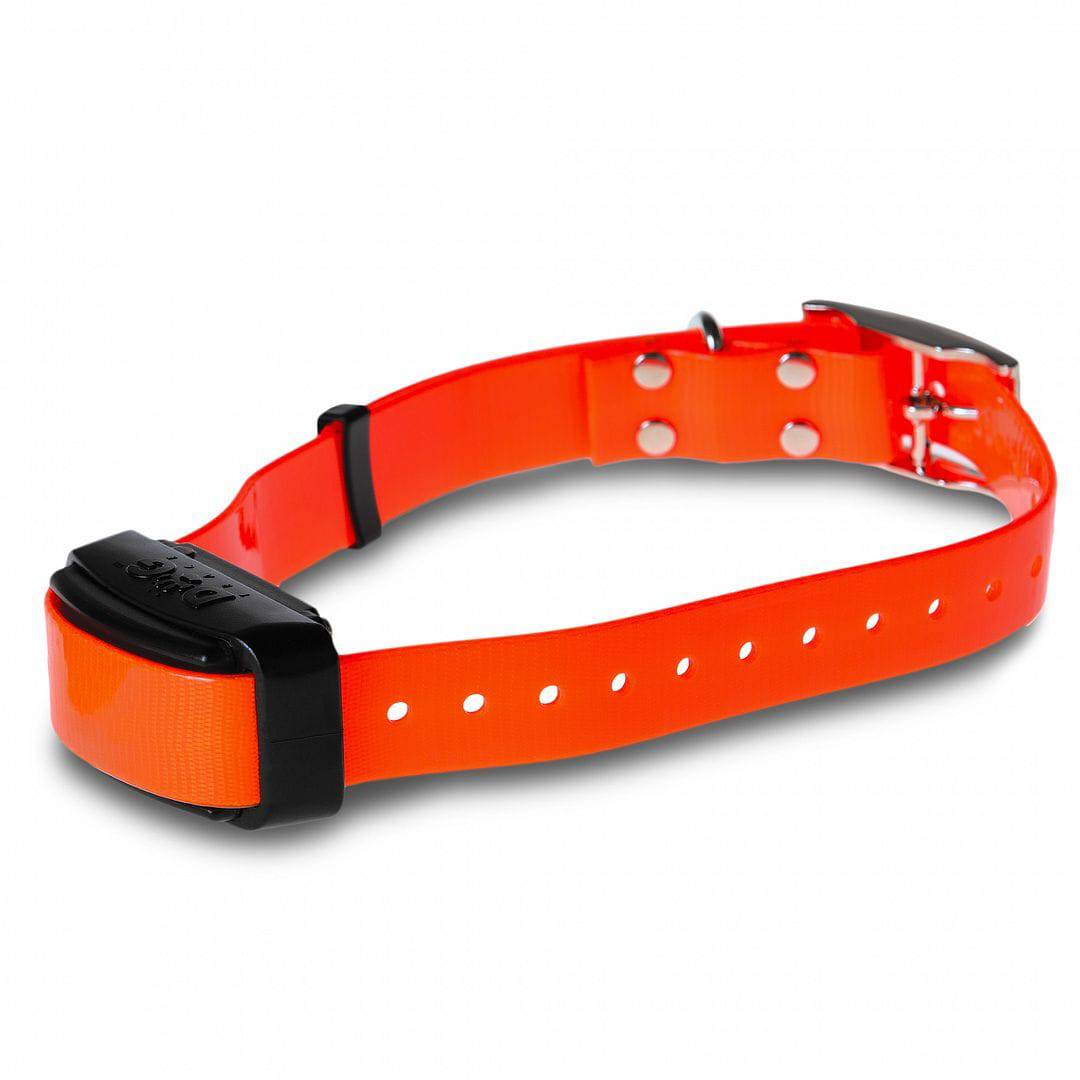 Zgarda suplimentara Dogtrace Profesional - Articole de Vanatoare