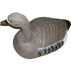 Atrape gasca garlita tip scoica pozitie santinela