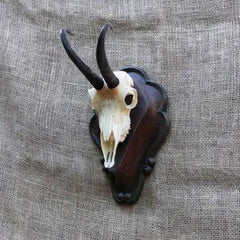 Panoplie Capra Neagra