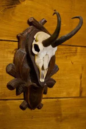 Panoplie Capra Neagra