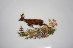 Set portelan pentru masa 6 persoane