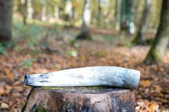 Chematoare Weisskirchen pentru Cerb