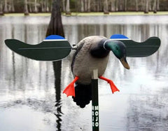 Atrapa electrica baby MOJO rata mascul