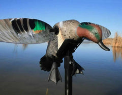 Atrapa electrica rata mica Mojo Green Wing Teal