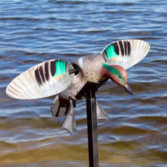 Atrapa electrica rata mica Mojo Green Wing Teal