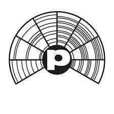 Card Memorie Plurifon RDP 21 sunete rata si gasca