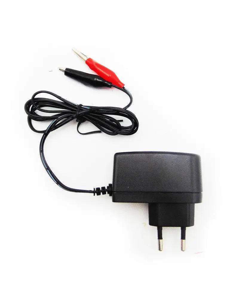 Incarcator 12V 1Ah cu autodebransare pentru acumulatori stationari etansi