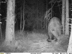 Camera Uovision Compact LTE 4G Cloud 20 MP