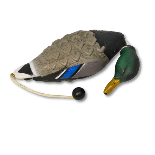 Aportabil rata EZ Bird - Articole de Vanatoare
