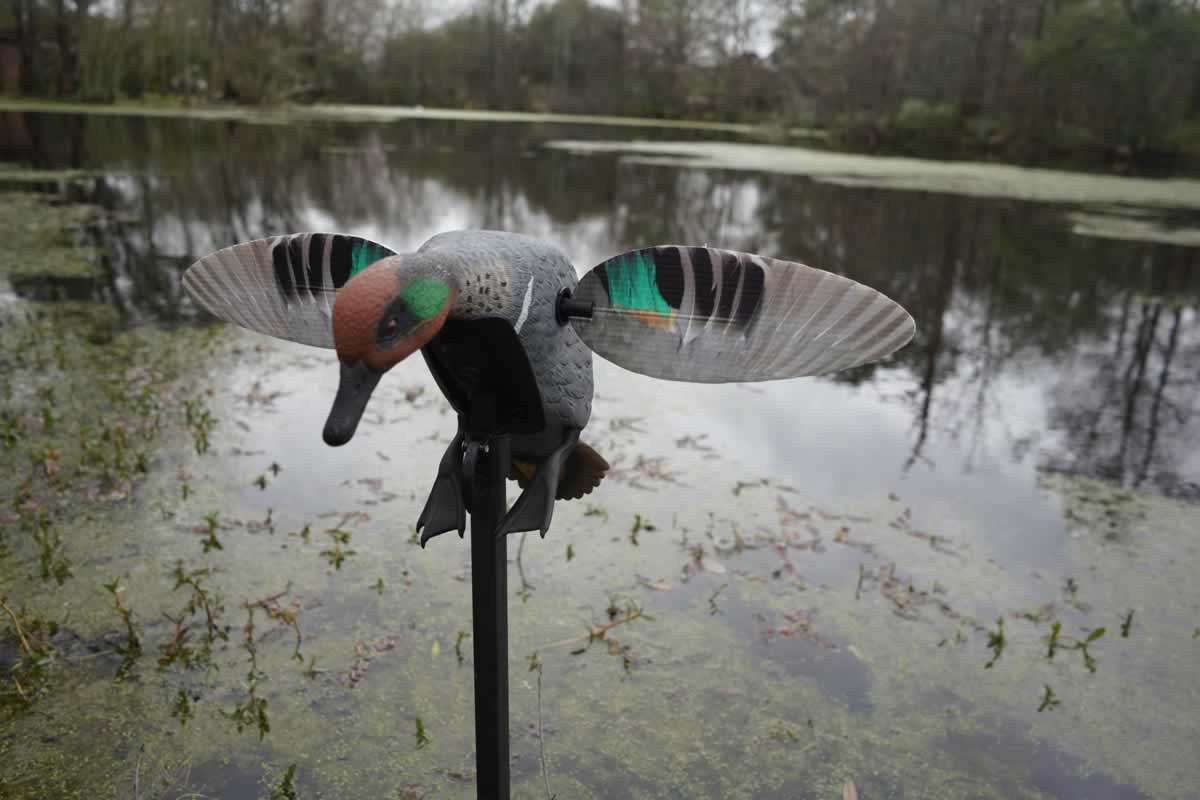 Atrapa electrica rata mica Mojo Green Wing Teal - Articole de Vanatoare