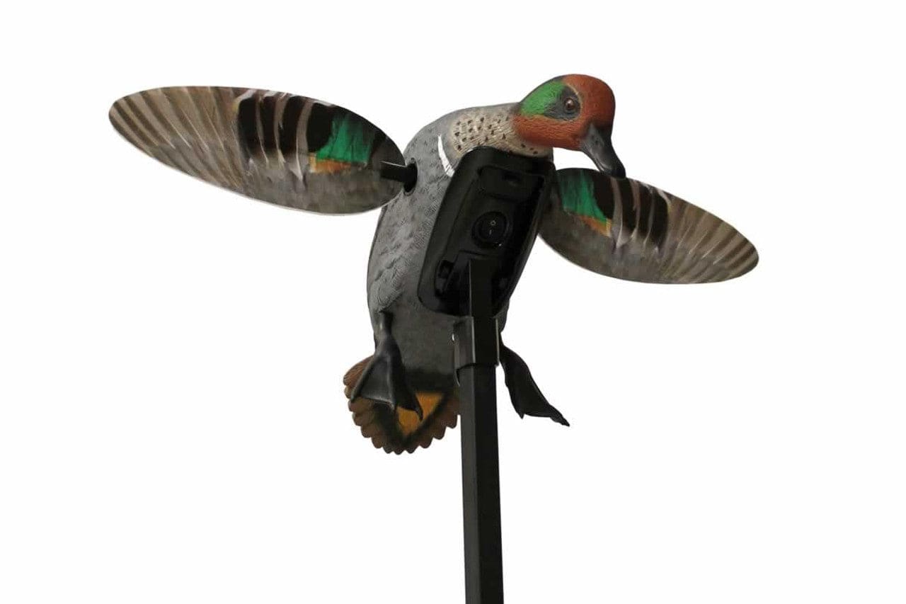 Atrapa electrica rata mica Mojo Green Wing Teal - Articole de Vanatoare