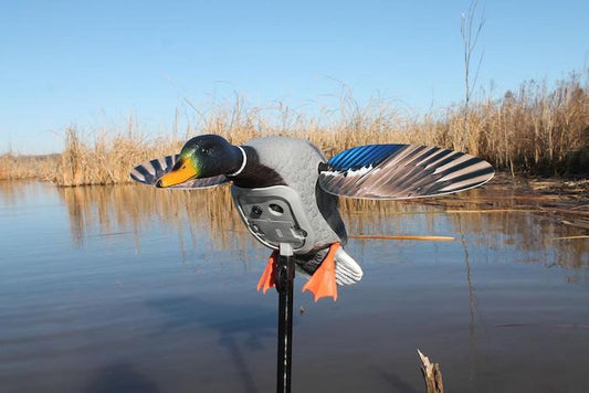 Atrapa rata electrica Mojo Mini Mallard Drake - Articole de Vanatoare