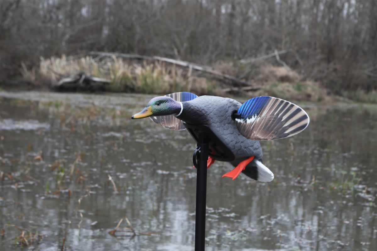 Atrapa rata electrica Mojo Mini Mallard Drake - Articole de Vanatoare