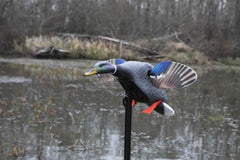 Atrapa rata electrica Mojo Mini Mallard Drake - Articole de Vanatoare