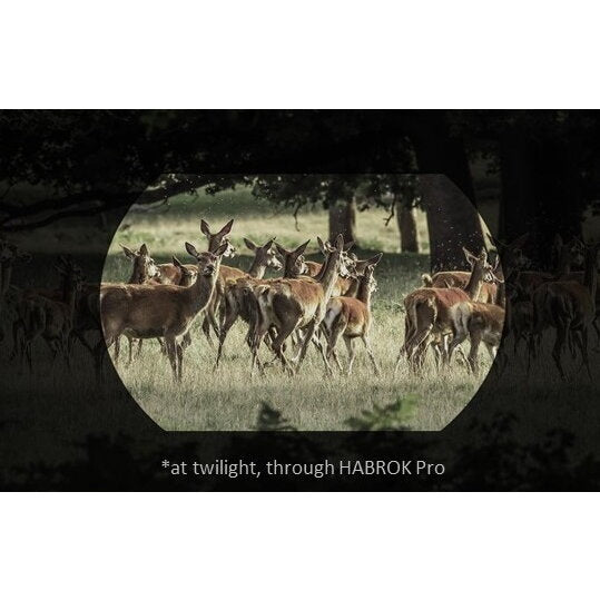 BINOCLU VEDERE TERMICA HABROK PRO HQ50LN 1920X1080 - Articole de Vanatoare