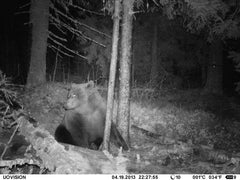 Camera Falsa monitorizare UOVision UM785 3G - Articole de Vanatoare