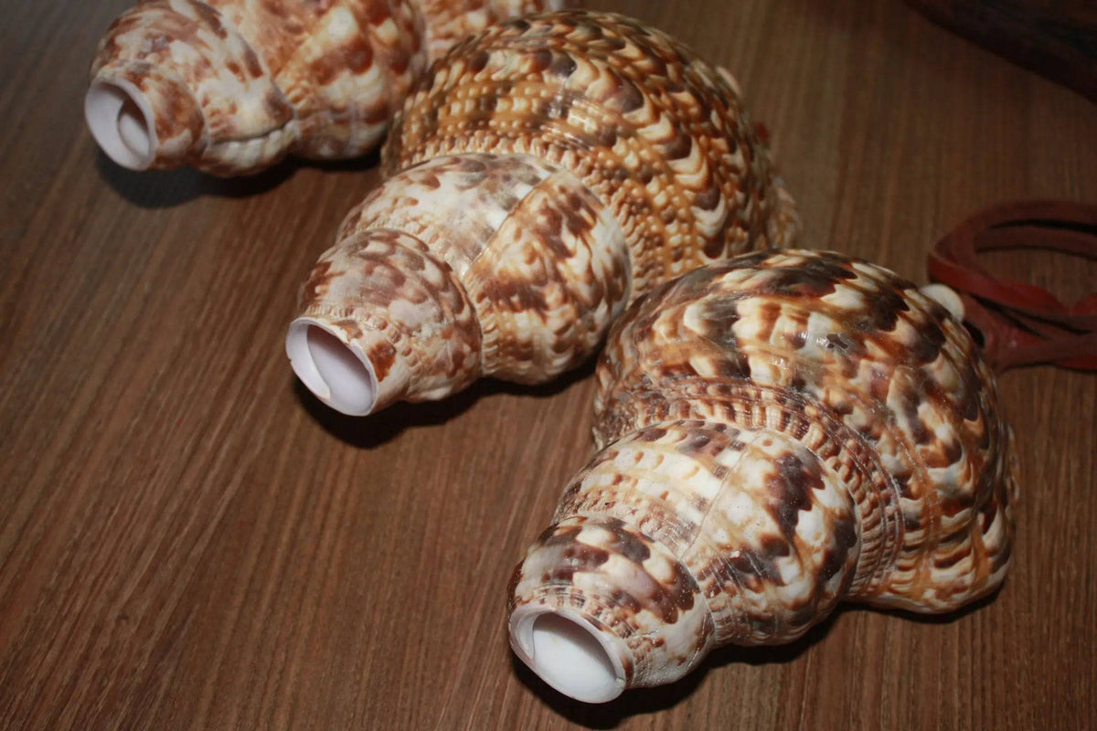 Chematoare cerb tip scoica Triton - Articole de Vanatoare