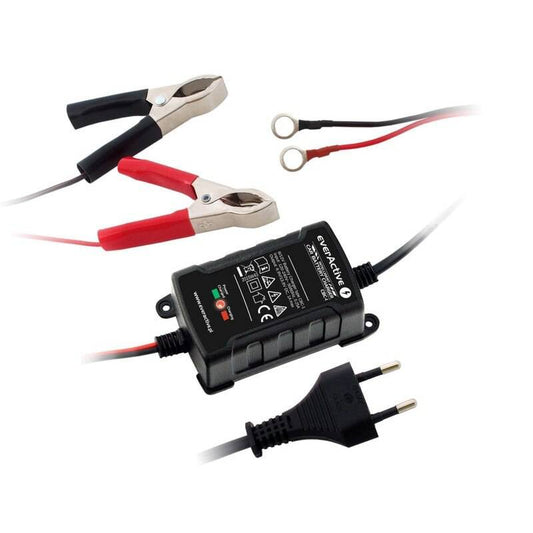 EVERACTIVE INCARCATOR INTELIGENT ACUMULATORI PLUMB 6V 12 DISPLAY - Articole de Vanatoare