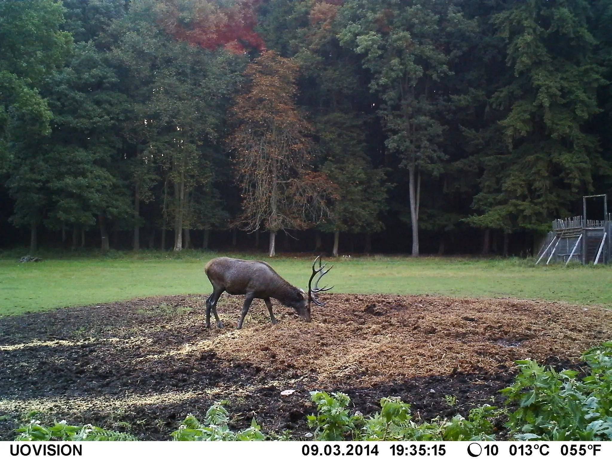 Resigilata Camera monitorizare UOVision UM785 3G - Articole de Vanatoare