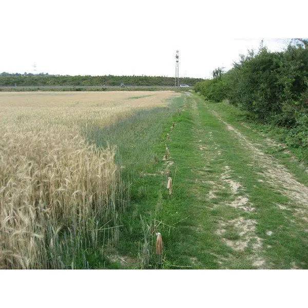 Stop Mistretilor Repelent Mistreti HAGOPUR