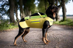 Vesta Protectie Dogtech Pro - Articole de Vanatoare