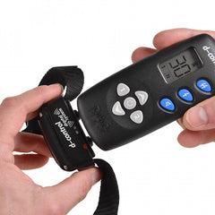 Zgarda dresaj caine vanatoare Dog Trace control 400 - Articole de Vanatoare