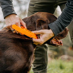 Zgarda HP culoare orange caini vanatoare - Articole de Vanatoare