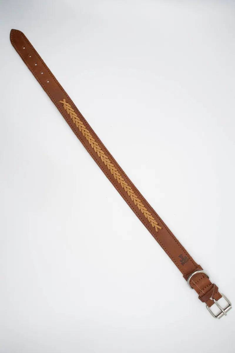 Zgarda caine impletitura - Articole de Vanatoare