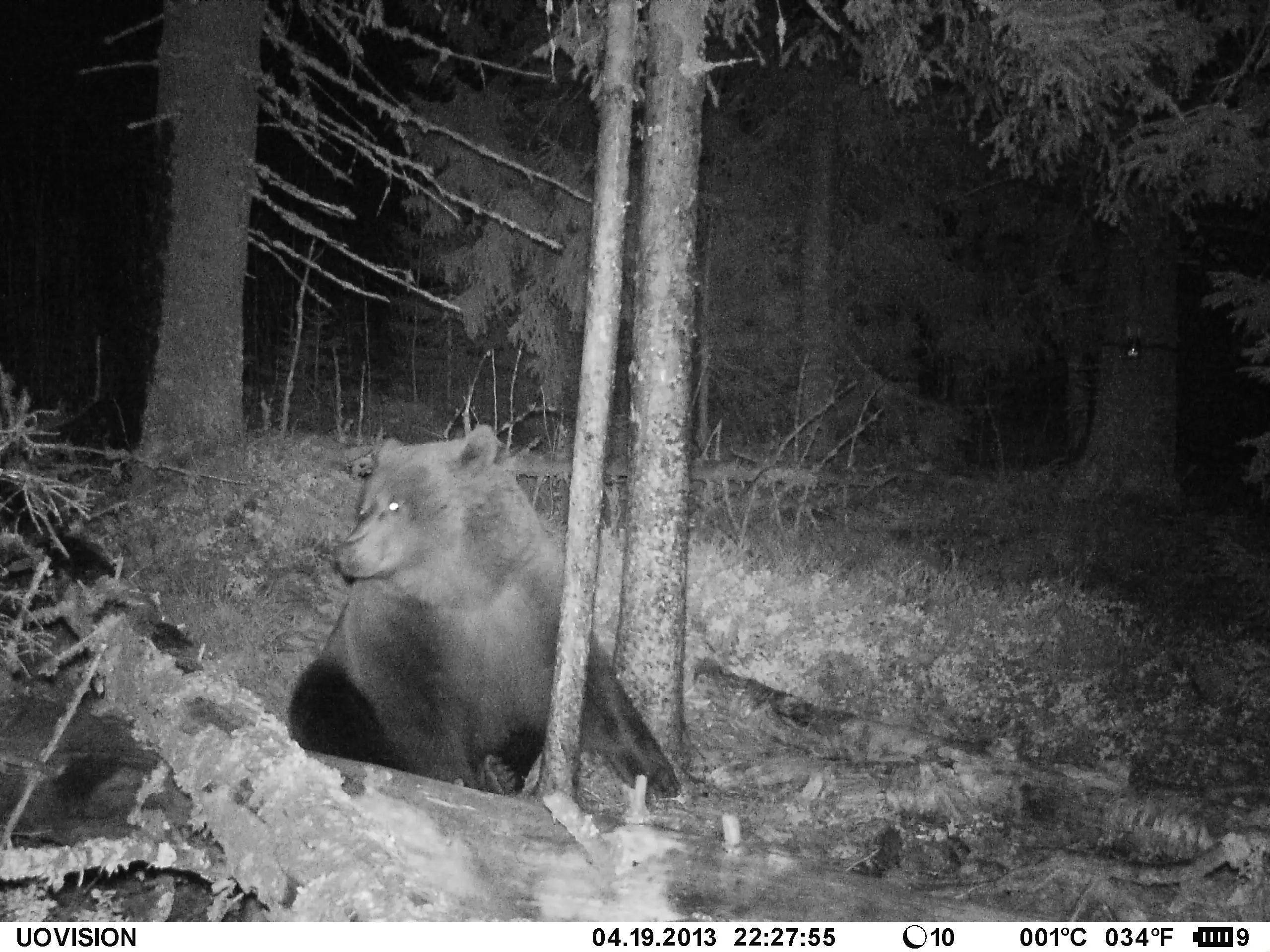 Camera Falsa de monitorizare UOVision UM785 3G